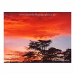 Beautiful sunrise over the Nakuru national park, Kenya.